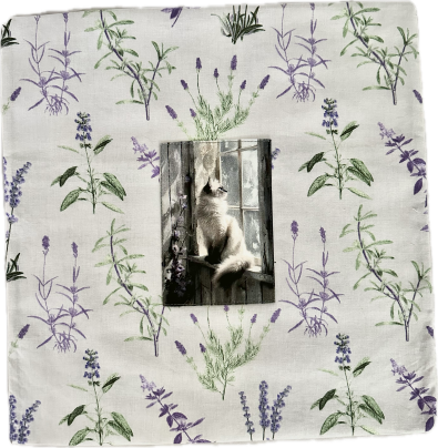 Potah na polštářek - Ragdoll č. 1