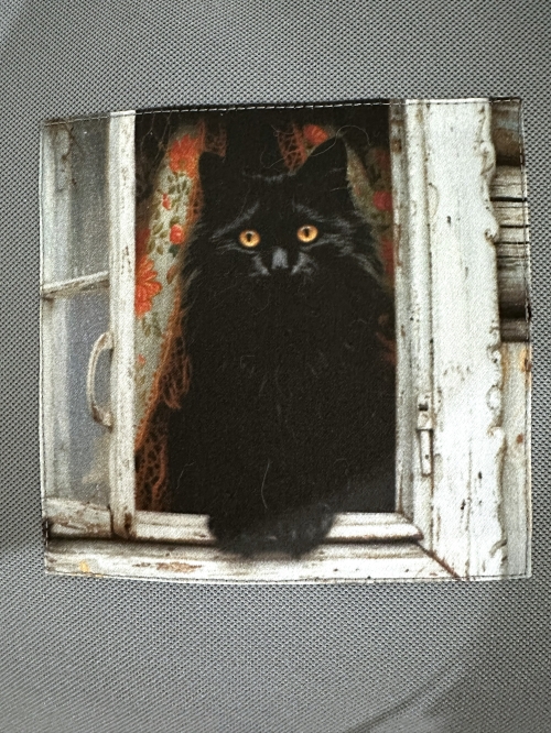 Potah na polštářek - černá kočka Chlupajda