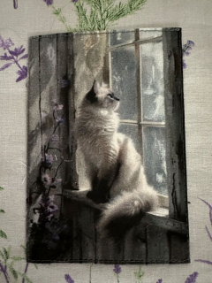 Potah na polštářek - Ragdoll č. 1